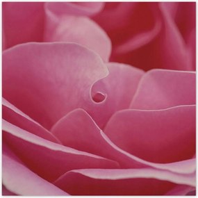 Poszterek 100x100 Nőnap Ajándék Love