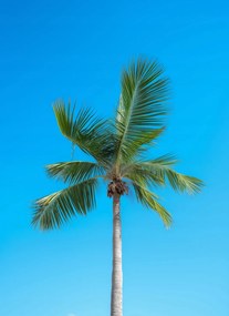 Poszter 40x55cm Égi magaslatok