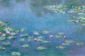 Plakát Claude Monet - Waterlillies