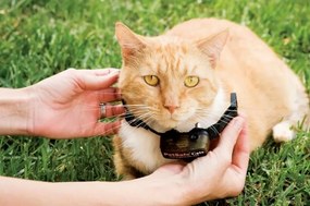 PetSafe® Extra Deluxe macskanyakörv Ultrakönnyű