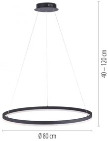 Paul Neuhaus 2383-13 - LED Dimmelhető csillár zsinóron TITUS LED/50W/230V