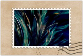 Poszterek 120x80 Puha pávatollak