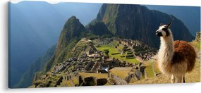 Kép - Láma és Machu Picchu (120x50 cm)