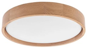 Brilagi - MANAROLA SIMPLE LED mennyezeti lámpa 24W 230V 3000K