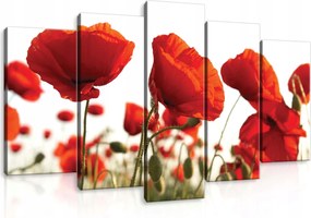 Vászonkép 100x60 Pipacsok piros mező nyár virágok természet színek művészet