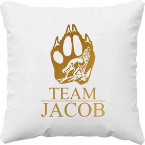 Team Jacob Ajándék Párna Alkonyat Rajongóknak