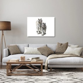 Üveg kép - A fehér tigris (70x50 cm)