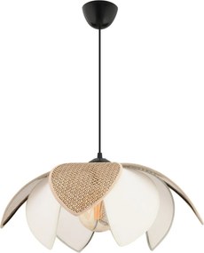 Peony Hazeran - Brown, White
