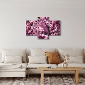 Kép - Rózsaszín sakura (90x60 cm)