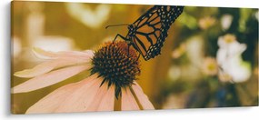 Pillangó képe a virágon (120x50 cm)