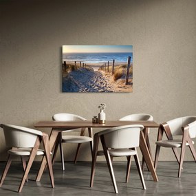 Kép - Út az északi-tengeri strandra, Hollandia (90x60 cm)