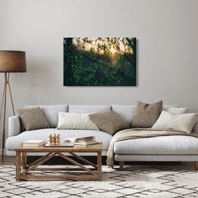 A ragyogó nap képe a fák gallyain keresztül (90x60 cm)