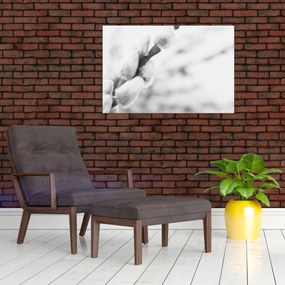 Kép - A tavasz kezdete (90x60 cm)