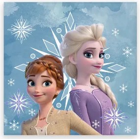 Disney Jégvarázs Snowflake kéztörlő, arctörlő, törölköző 30x30cm