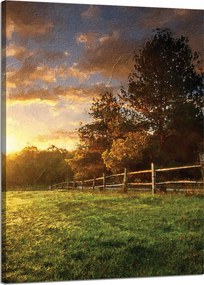 Vászonkép Nap Tájkép Vidéki fák Rét 50x70 cm
