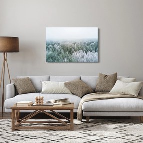 Kép - Havas erdőcsúcsok (90x60 cm)