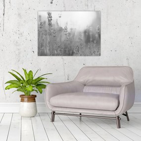 Kép - Levendula (70x50 cm)