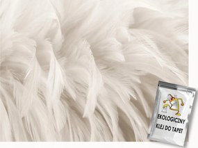 Fotótapéta Flizelina Dekoráció Világos Toll Pehely Boho 400x280 ragasztó