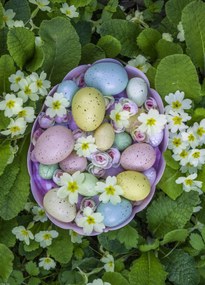 Poszter 39,5x55cm Húsvéti tojások kosárban 3, Assaf Frank