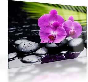 Üveg kép - Orchideák (70x50 cm)