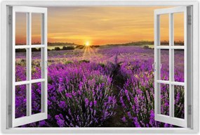 Poszterek 60x40 Levendula naplemente