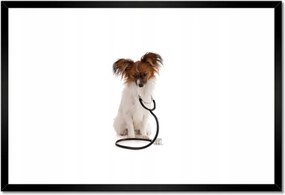 Poszterek keretben 60x40 Kutya sztetoszkóppal