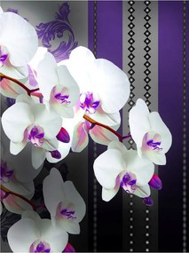 Fotótapéta Orchideák Phalaenopsis virágok vinil 184x254 +ragasztó