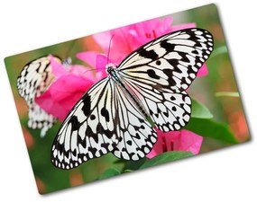 Üveg vágódeszka Pillangó a virágon pl-ko-80x52-f-111962748