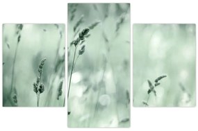 Kép - Zöld rét (90x60 cm)