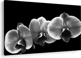 Egy orchidea virág képe (90x60 cm)