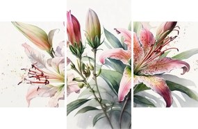 Kép - Liliomok, illusztrációk (90x60 cm)