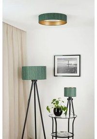 Brilagi - Dimmelhető LED lámpatest VEGAS SHINE LED/24W/230V zöld/arany + távirányító