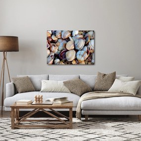 Kagyló képe (70x50 cm)