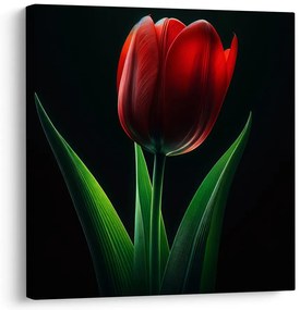 Kép tulipán virág éjjel