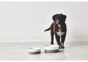 Porcelán tálka kutyáknak ø 21,5 cm Coppa Slate M/L – MiaCara
