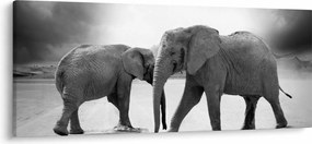 Elefántok képe (120x50 cm)
