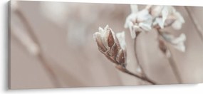 Kép - Ág részlet (120x50 cm)