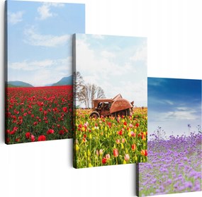 Vászonkép 150 cm **többféle minta** Nappali Képek Triptichon Virágok