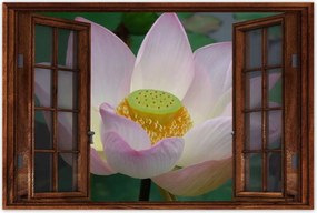 Poszterek 90x60 Lótusz Lótuszvirág