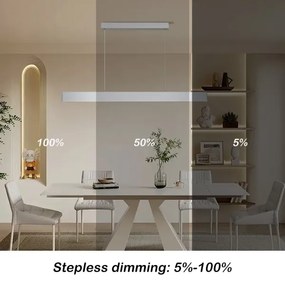 Brilagi - LED Dimmelhető csillár zsinóron SLIMLINE LED/40W/230V 3000-6000K ezüst + távirányító