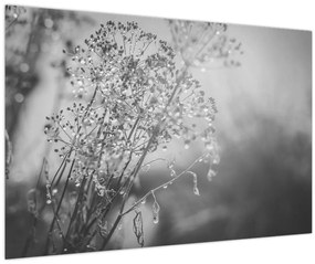 Kép - Mező az eső után (90x60 cm)