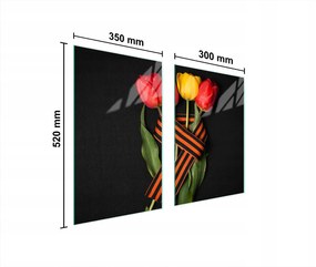 Üveg Konyhai Védőlap 65x52 Rózsaszín