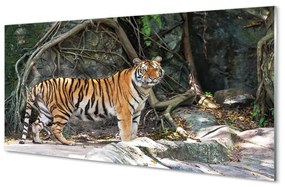 Üvegképek tigris dzsungel 100x50 cm