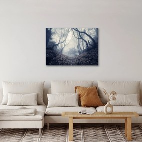 Kép - Erdő a ködben (70x50 cm)