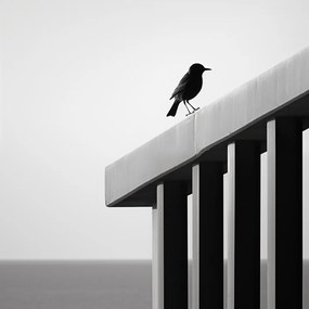 Poszter 30x30cm Magányos elmúlás