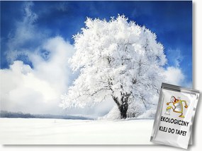 FotĂłtapĂ©ta Flizelina TĂĄjkĂ©p TĂ©l HĂł HĂłfĂșvĂĄs Fa DĂ©r 150x105 ragasztĂł