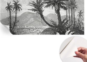 Design fali fotótapéta Öntapadós Trópusi oázis 250x104 cm