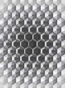 Fotótapéta Szürke hatszögek geometria 3D hatás monokróm 206x275 +ragasztó