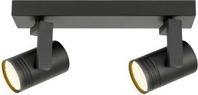 Spot Lámpa Fekete Spiela ITALUX-SPL-31993-2B-BK