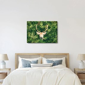 Kép - őz fej részlete (70x50 cm)